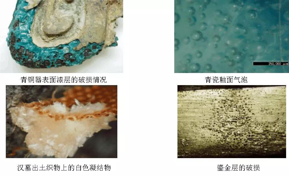 體視顯微鏡在文物保護(hù)中的應(yīng)用