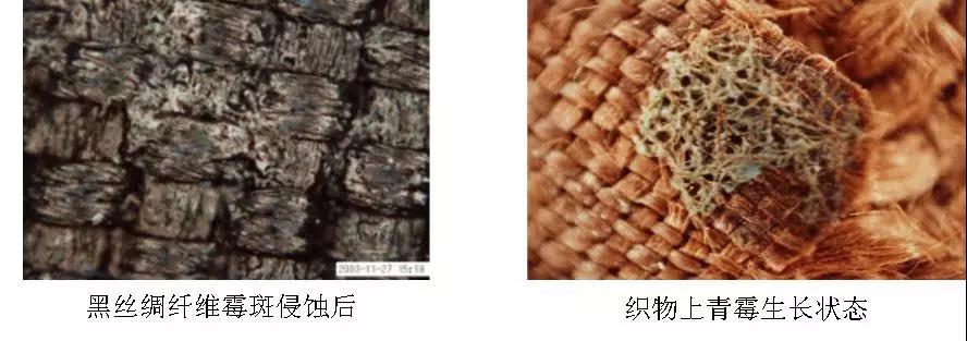 光學(xué)數(shù)碼顯微鏡在文物保護(hù)中的應(yīng)用